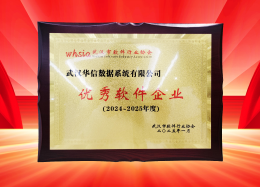 喜讯丨UG环球国际数据获评2024~2025年度武汉市软件行业“优秀企业”、“优秀工作者”荣誉称号！